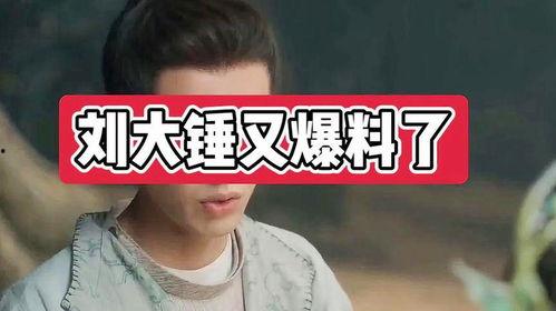 刘大锤最新爆料是什么,揭秘娱乐圈惊人内幕 第2张 刘大锤最新爆料是什么,揭秘娱乐圈惊人内幕 第2张