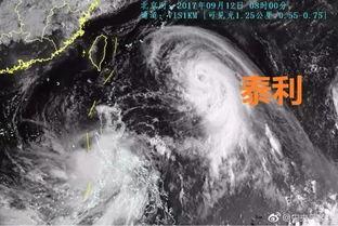 南京台风最新爆料,城市安全与民生保障紧急应对 第3张 南京台风最新爆料,城市安全与民生保障紧急应对 第3张